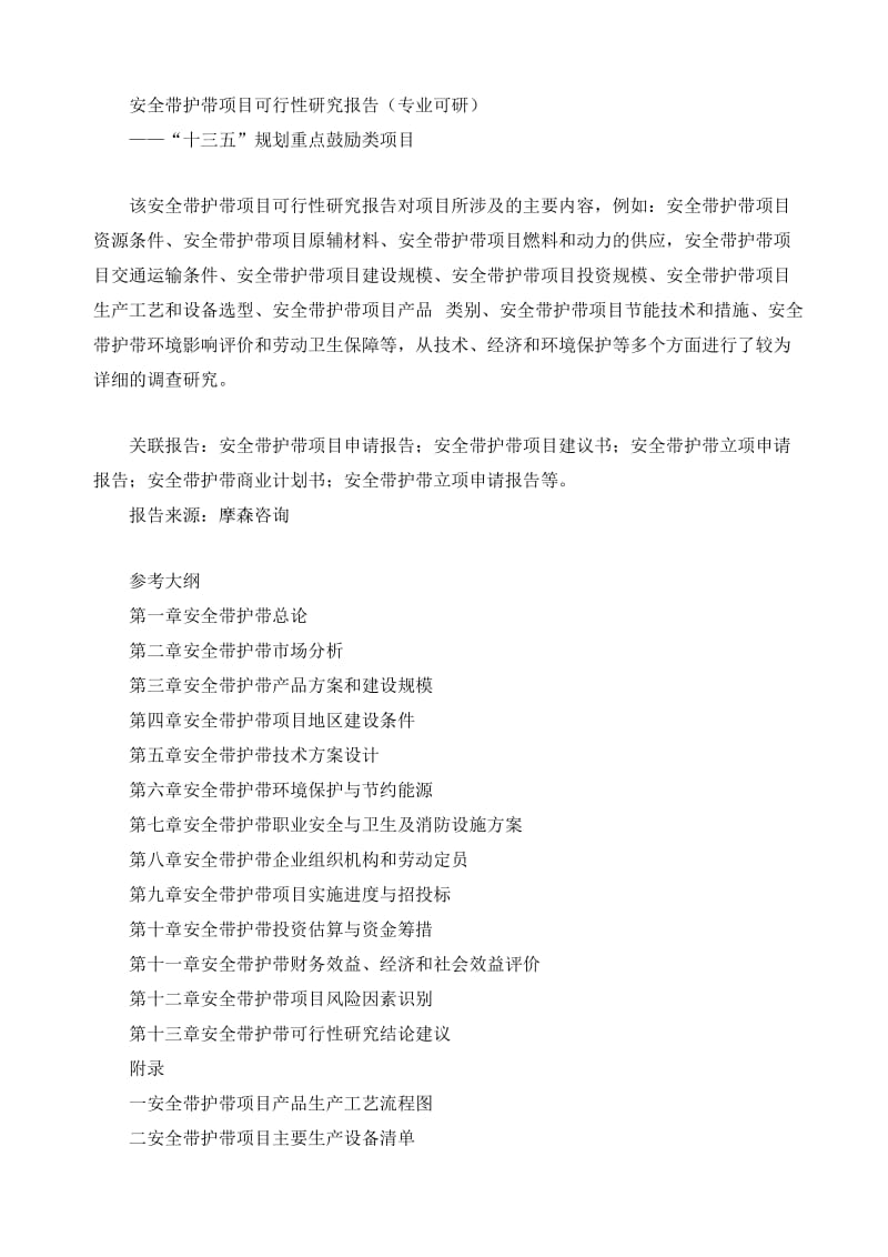 安全带护带项目可行性研究报告(专业可研).doc_第1页