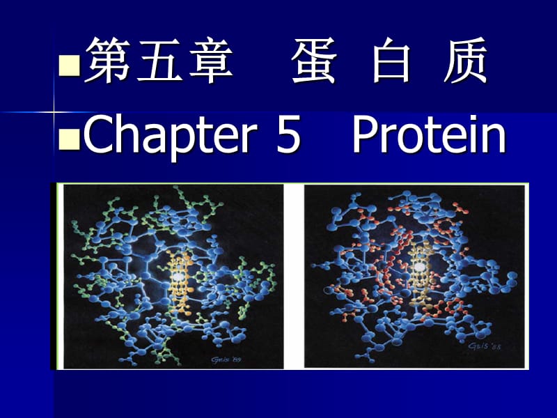 食品化学 蛋白质课件.ppt_第1页