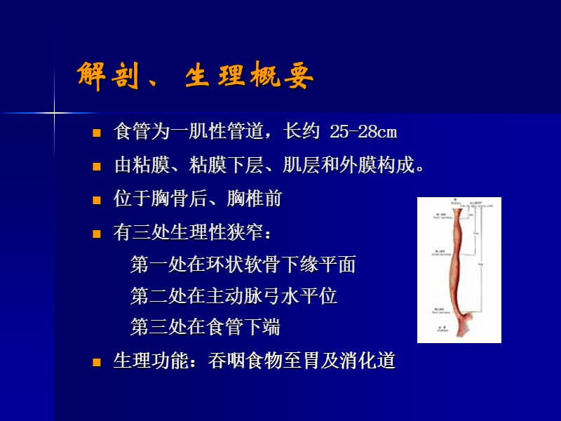 食管癌病人的护理.ppt_第3页