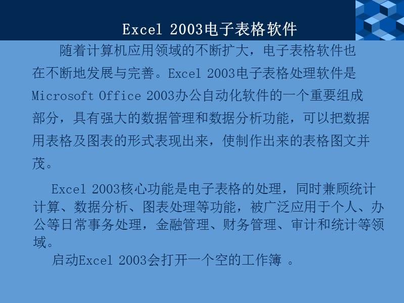 Excel2003电子表格软件.ppt_第2页