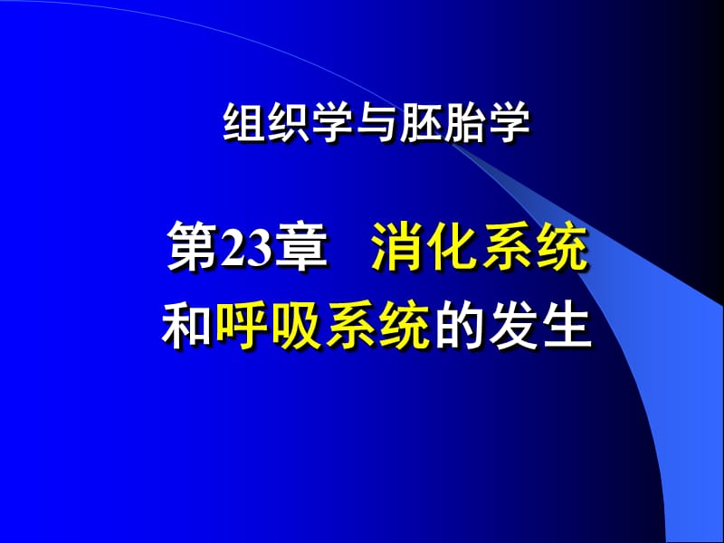 组织学与胚胎学23章消化系统和呼吸系统的发生.ppt_第1页