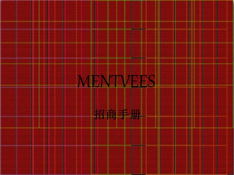 MENTVEES招商手册.ppt_第1页