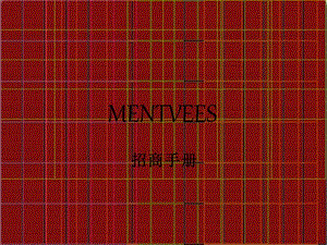 MENTVEES招商手册.ppt