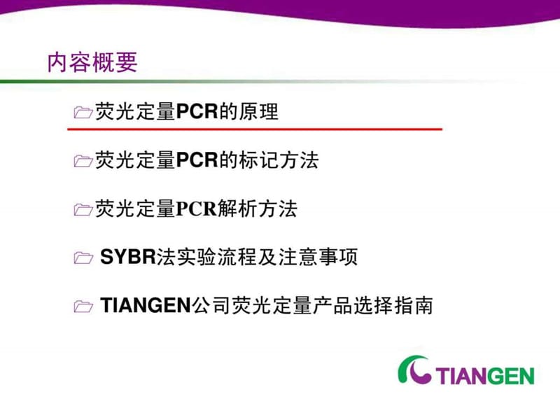 荧光定量PCR技术专题_1652540619.ppt.ppt_第2页