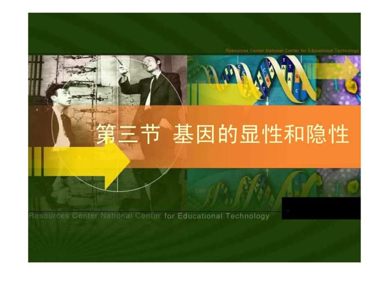 基因的显性和隐性_初二理化生_理化生_初中教育_教育专区.ppt.ppt_第1页