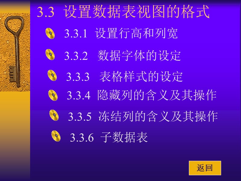 Access2003：3.3、设置数据表视图的格式.ppt_第1页