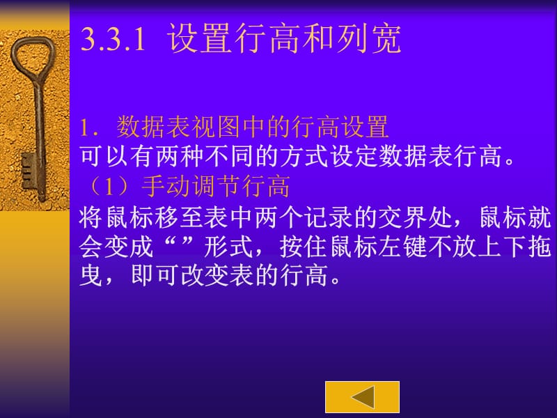 Access2003：3.3、设置数据表视图的格式.ppt_第2页