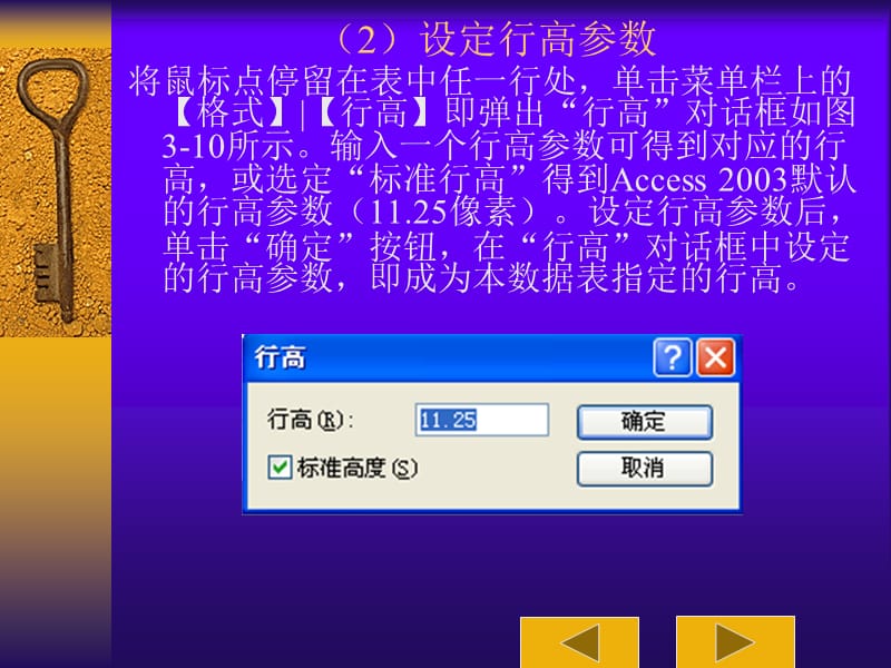 Access2003：3.3、设置数据表视图的格式.ppt_第3页