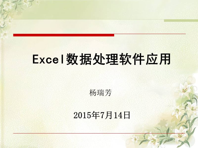 Excel数据处理软件应用.ppt_第1页