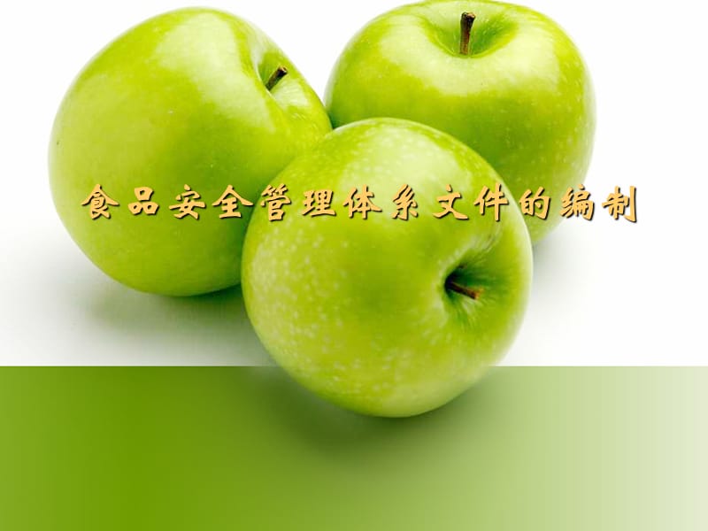 食品安全管理体系文件的编制.ppt_第1页