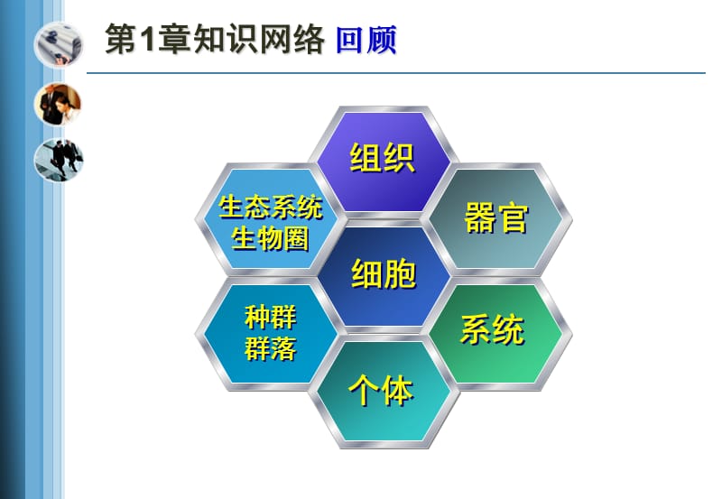 组成细胞的分子-素、化.ppt_第2页