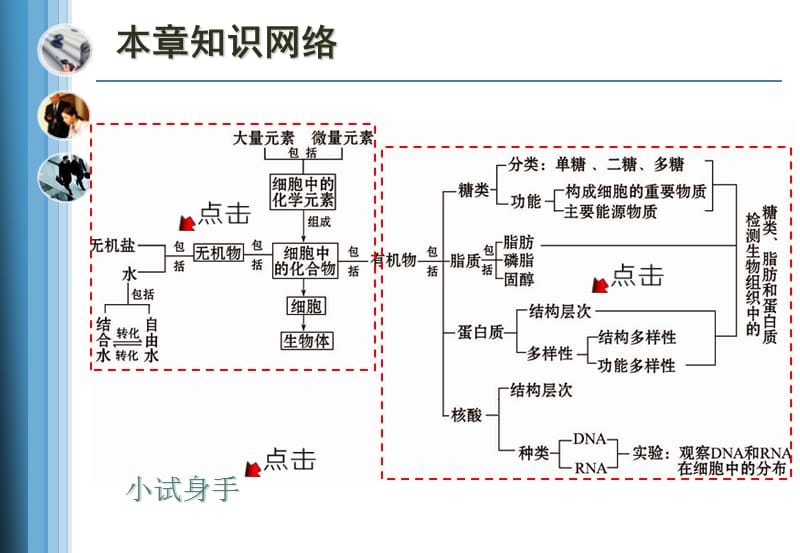 组成细胞的分子-素、化.ppt_第3页