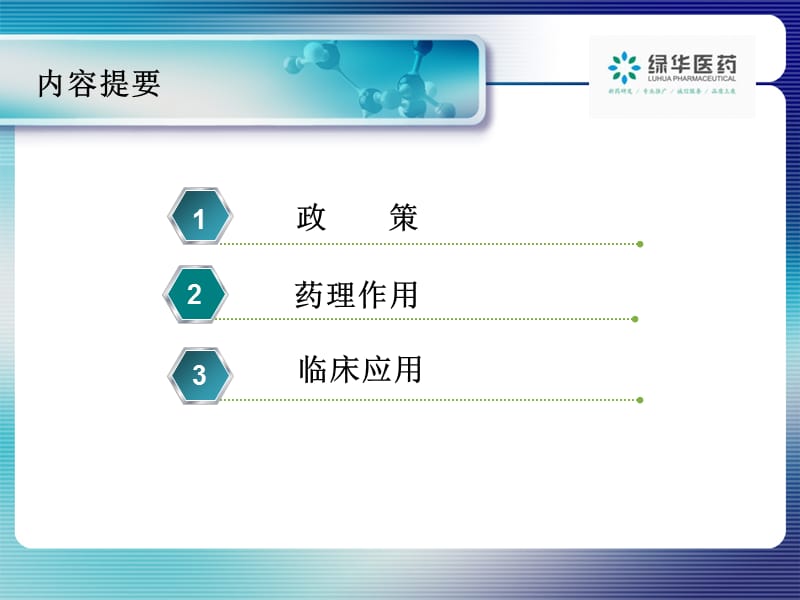 血府逐瘀片.ppt_第2页