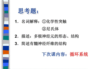 组织胚胎学 神经组织.ppt