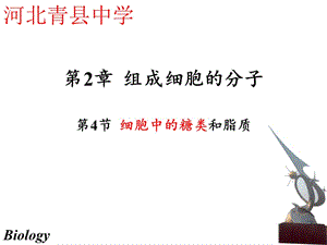 组成细胞的分子3.ppt