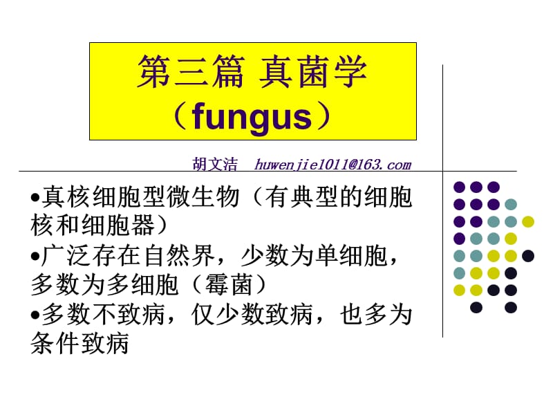 真核细胞型微生物有典型的细胞核和细胞器广泛存在.ppt_第1页