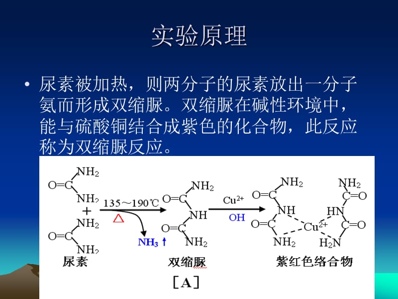 血清总蛋白测定.ppt_第3页