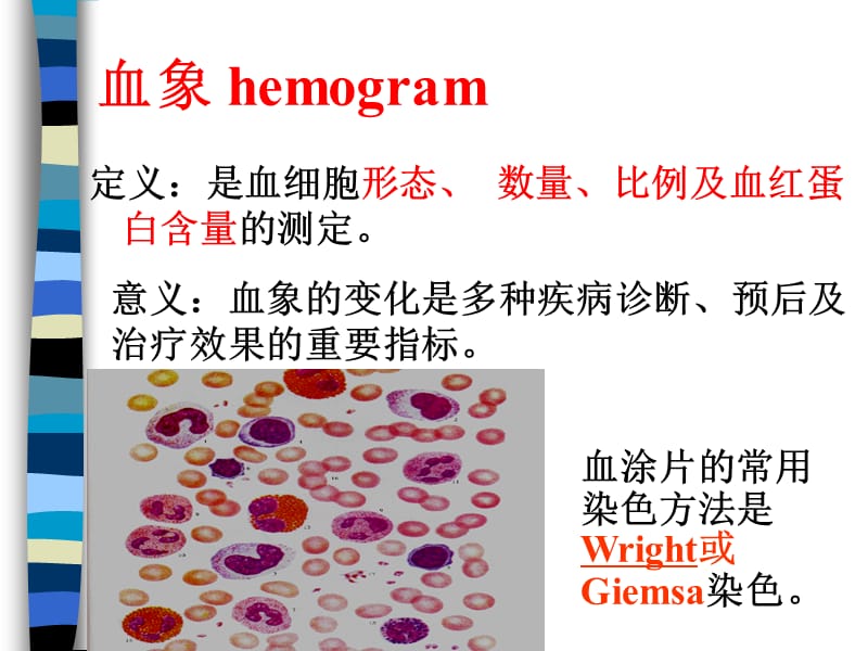 血液与肌组织.ppt_第3页