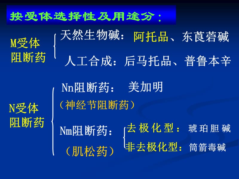 药理学 胆碱受体阻断药.ppt_第3页