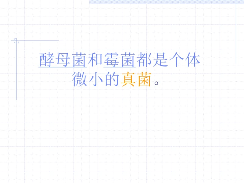 真菌的控制和利用课件.ppt_第2页