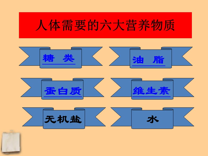 脂肪蛋白质.ppt_第2页