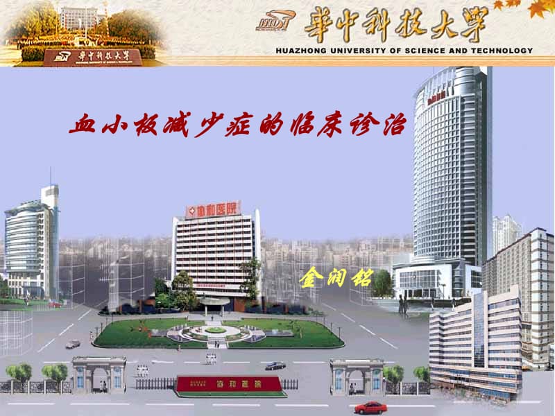 血小板减少症-20110910黄冈.ppt_第1页