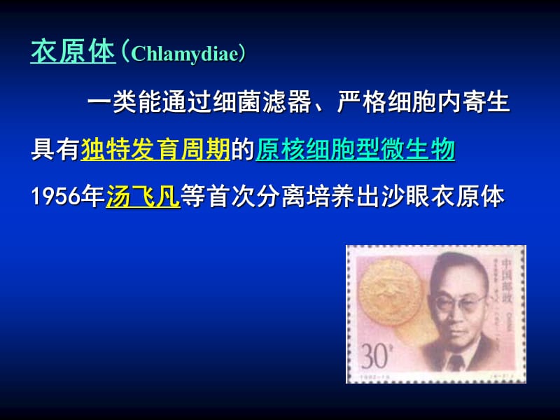 衣原体Chlamydiae病原教研室.ppt_第3页