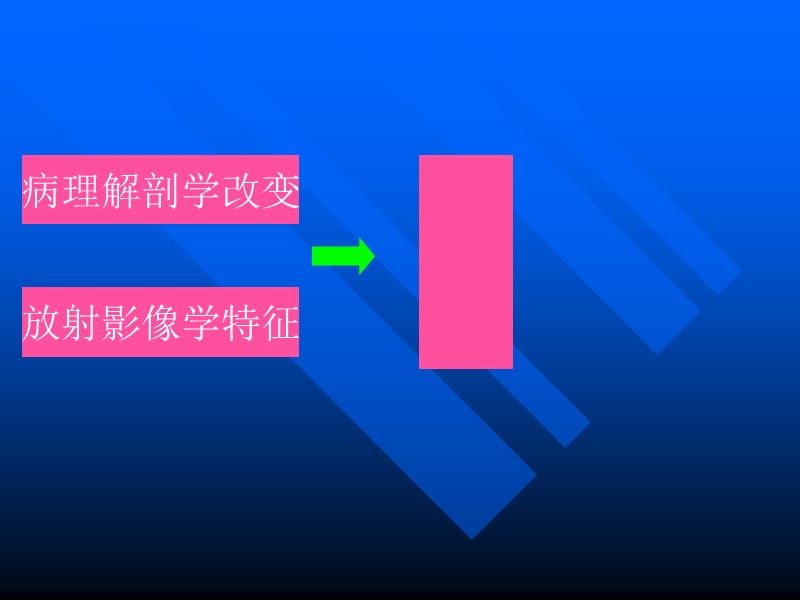 腰椎滑脱的手术治疗.ppt_第2页