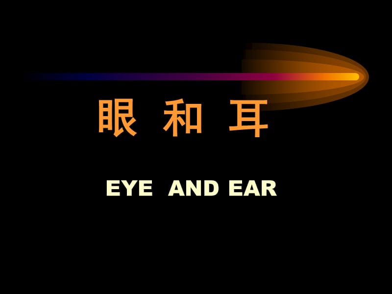 眼(eye)视觉器官.ppt_第1页