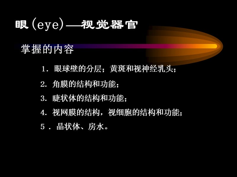 眼(eye)视觉器官.ppt_第2页