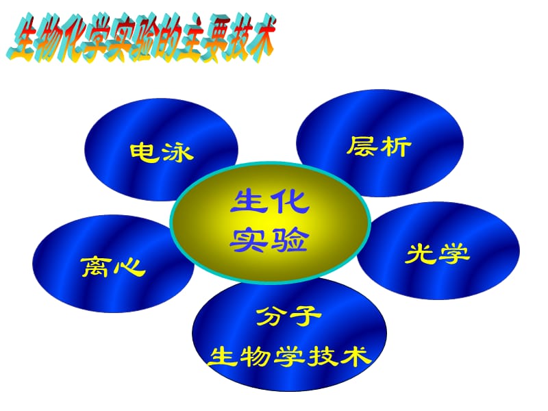 真核细胞DNA提取与酶切鉴定-liuchang.ppt_第1页