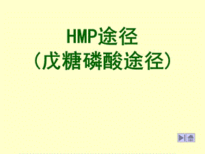 HMP途径(戊糖磷酸途径).ppt