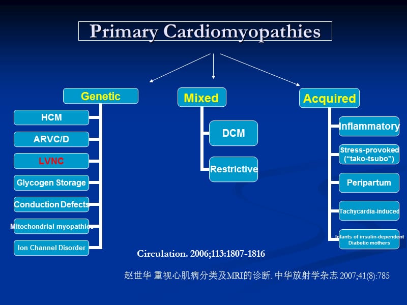 赵世华放射科.ppt_第2页