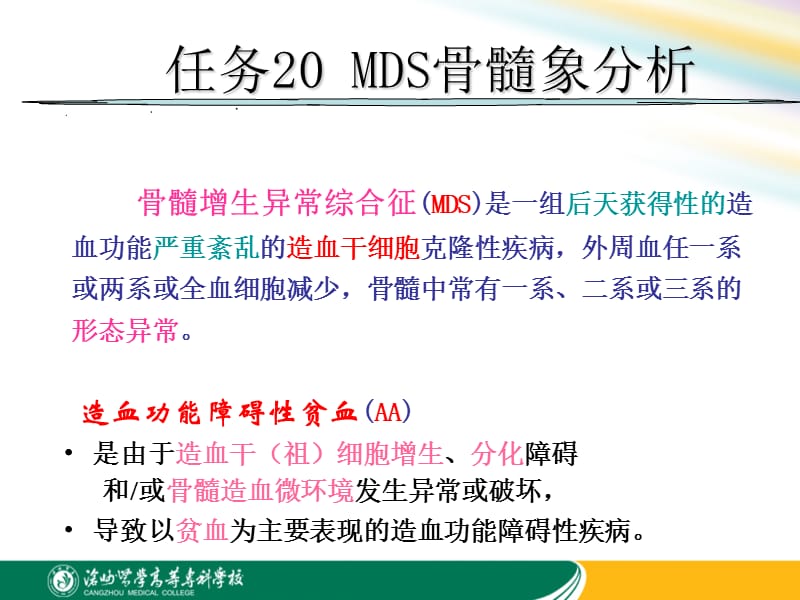 项目十骨髓增生异常综合征.ppt_第2页