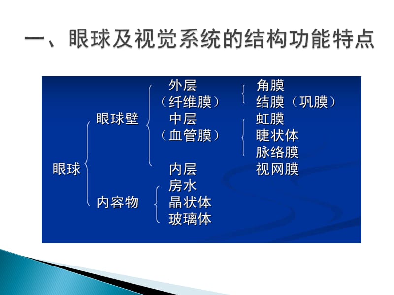 药物毒理学-药物对眼的毒性作用.ppt_第3页