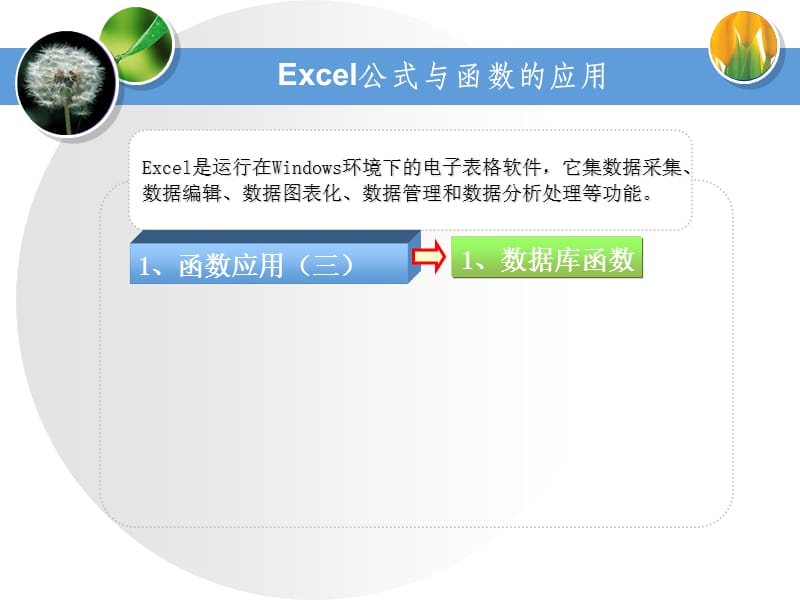 excel-公式与函数的应用.ppt_第2页