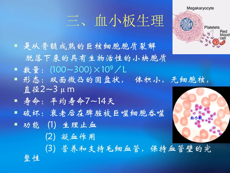 血小板生理.ppt_第1页