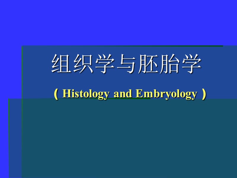 组织学与胚胎学 神经.ppt_第1页