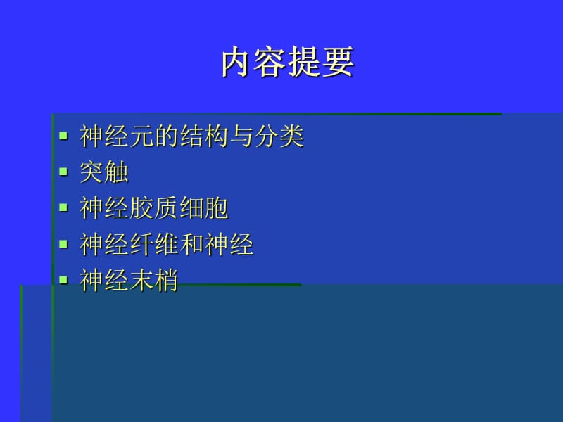 组织学与胚胎学 神经.ppt_第3页