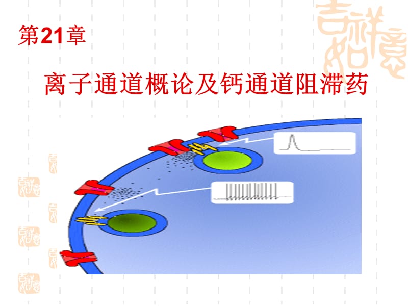 药理21钙通道阻滞药.ppt_第1页