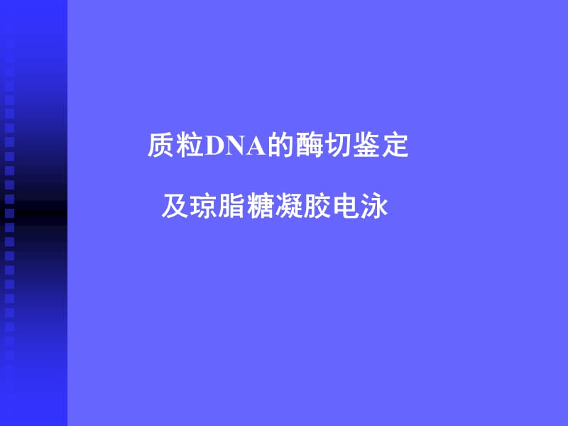 质粒DNA的酶切鉴定及琼脂糖凝胶电泳.ppt_第1页