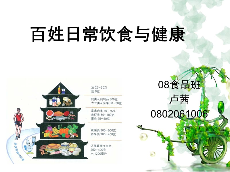 百姓日常饮食与健康1.wps2.ppt_第1页