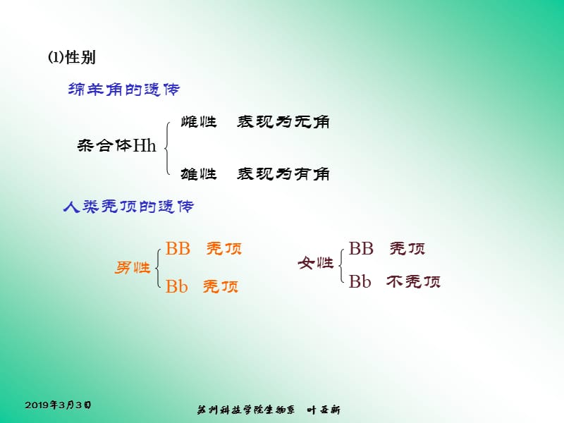 遗传学第二章第四节 基因的相互作用.ppt_第2页