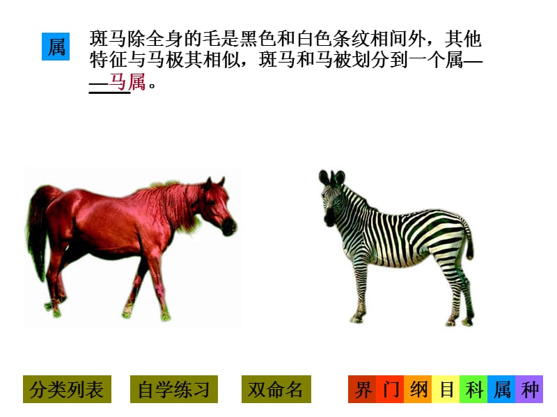 八年级生物从种到界-新人教ppt.ppt_第3页