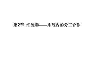 人教版教学课件11-12学年高一生物必修1(新人教版)同步课件：32 细胞器——系统内的分工合作.ppt