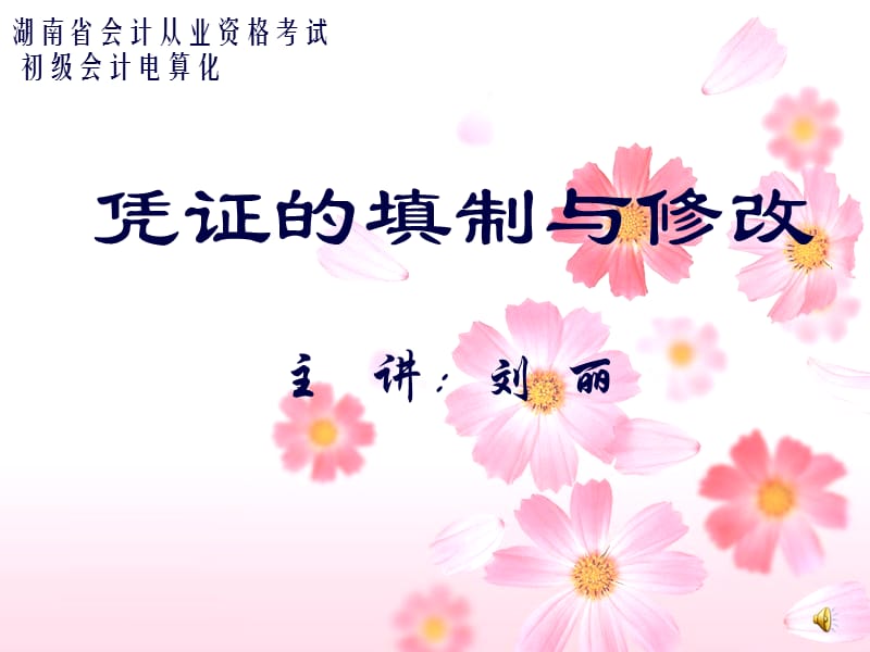 湖南省会计从业资格考试.ppt_第1页