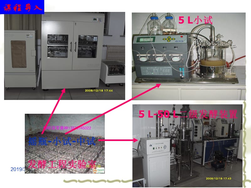 第4章酒母扩培工艺.ppt_第3页