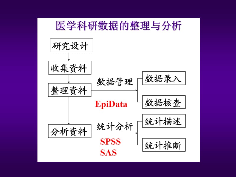 科研数据的分析与处理.ppt_第2页