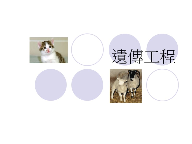 遗传工程.ppt_第1页