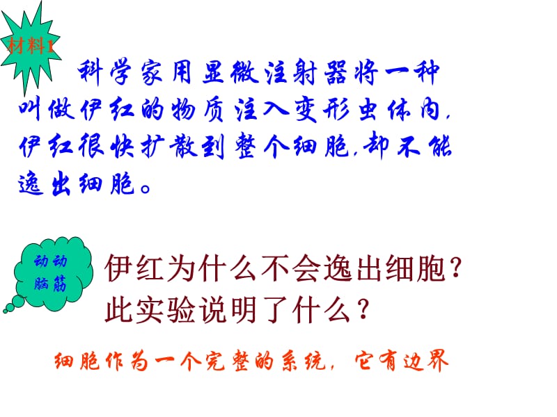 人教版教学课件云南省弥勒县庆来中学2011-2012学年高一生物 3.1 细胞膜—系统的边界1(课件).ppt_第2页